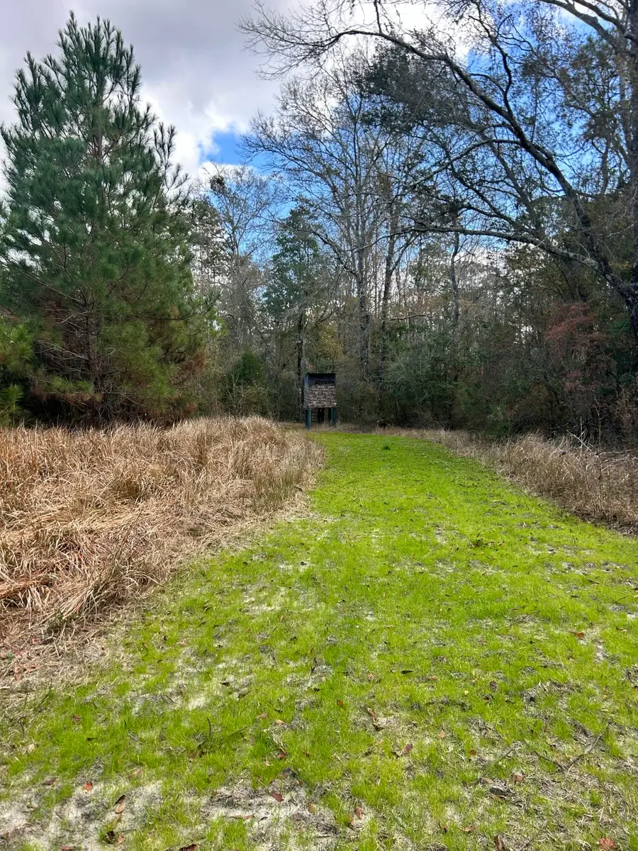 1398 St Marys Road, Caryville, FL 32427 - #3