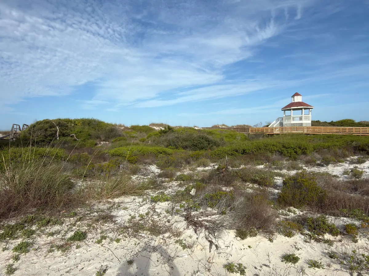 6287 Cape San Blas Road, Cape San Blas, FL 32456 - #1