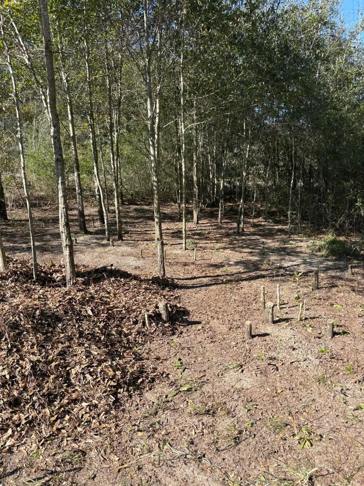 105 Eagle Court, Crestview, FL 32539 - #1