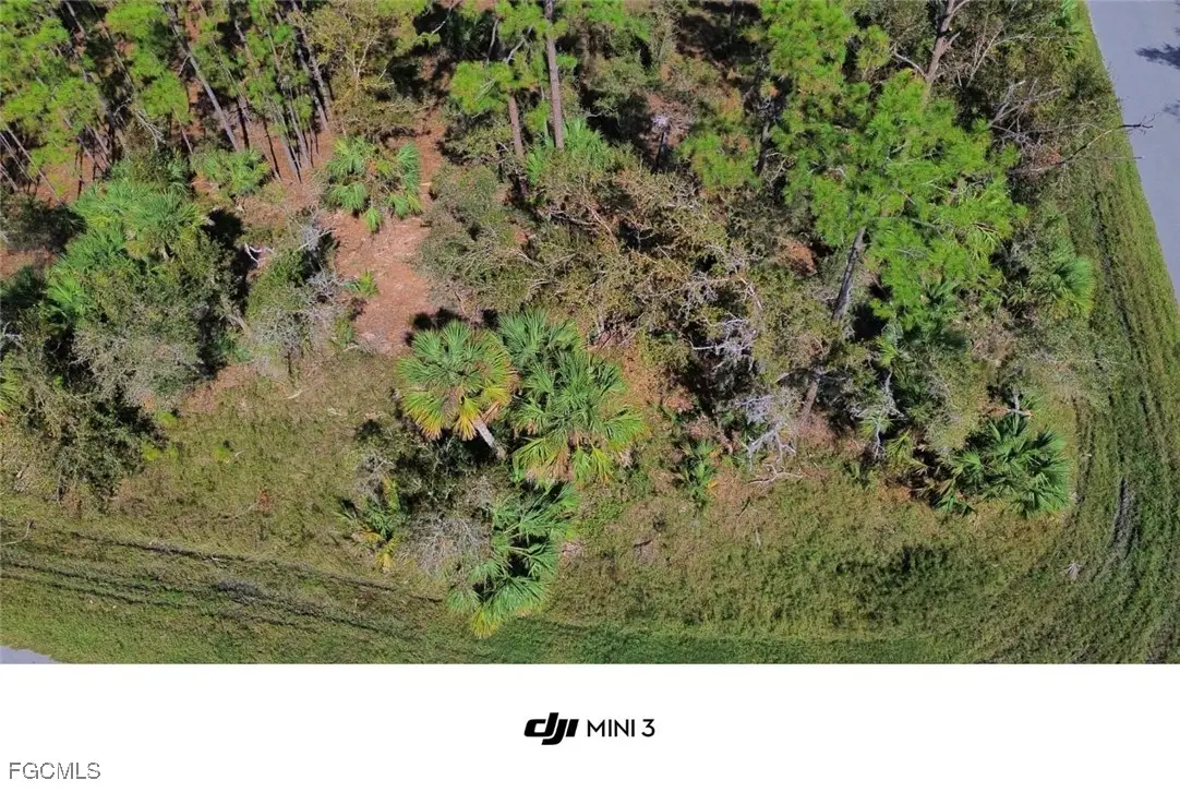 411 & 421 Lindon Street, Port Charlotte, FL 33954 - #1