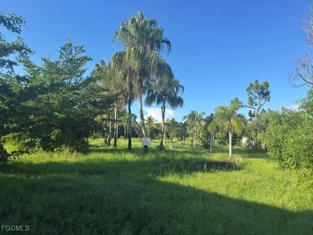 #3