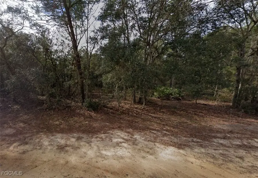 917 David Avenue, Interlachen, FL 32148 - #2