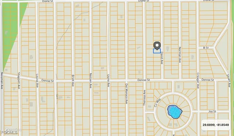 917 David Avenue, Interlachen, FL 32148 - #3