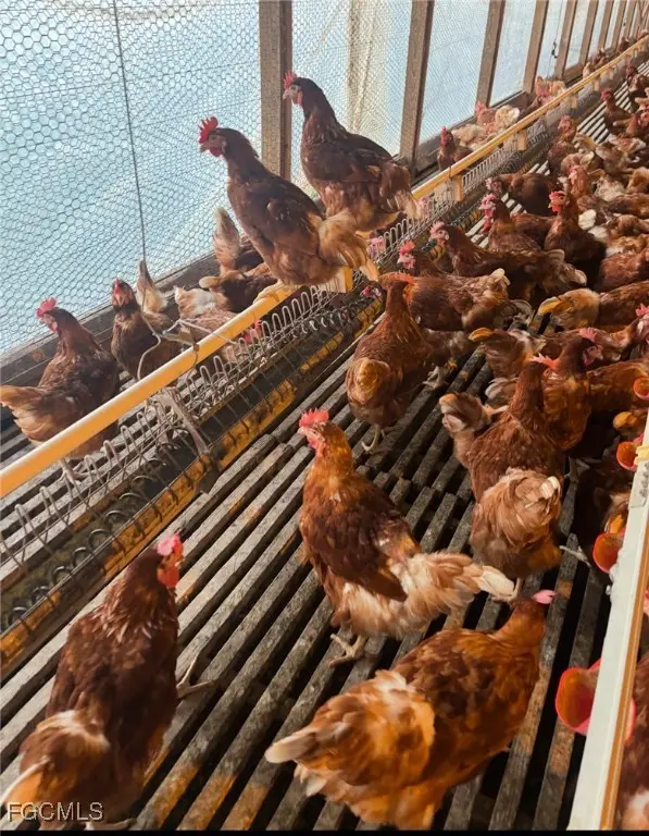 151-159 Union Grove Cemetery Road, Palatka, FL 32177 - Image #3