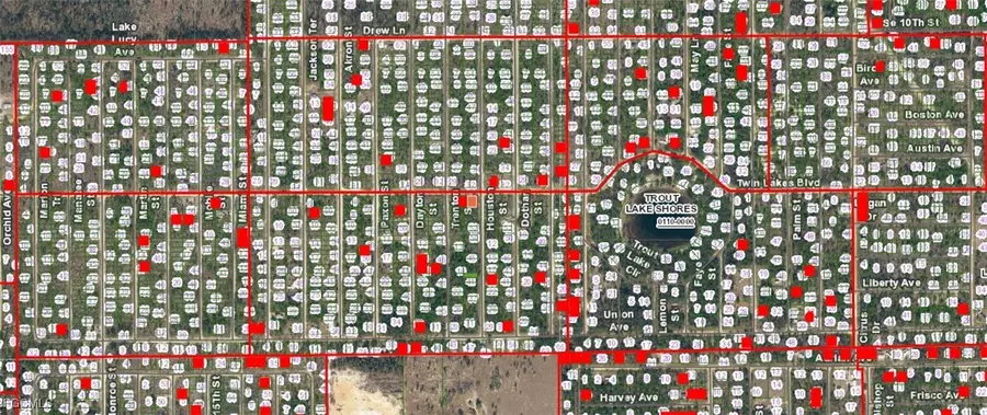 05-10-24-9045-0070-0010 Twin Lakes Boulevard, Interlachen, FL 32148 - #3