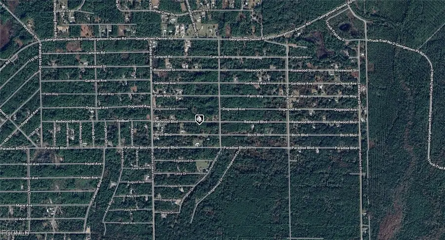 329 Redwood Boulevard, Georgetown, FL 32139 - Image #3