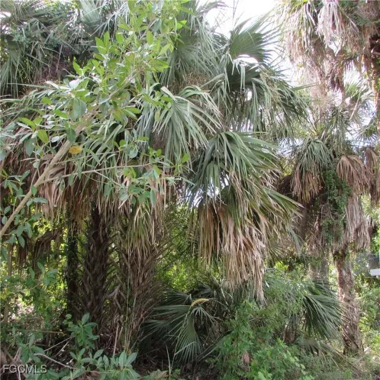 3401 Castile Road, Saint James City, FL 33956 - Image #2