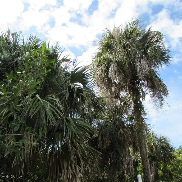 3401 Castile Road, Saint James City, FL 33956 - Image #3