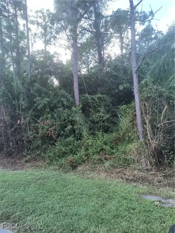 905 Roosevelt Avenue, Lehigh Acres, FL 33936 - Image #2