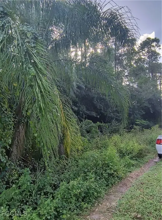 905 Roosevelt Avenue, Lehigh Acres, FL 33936 - Image #3