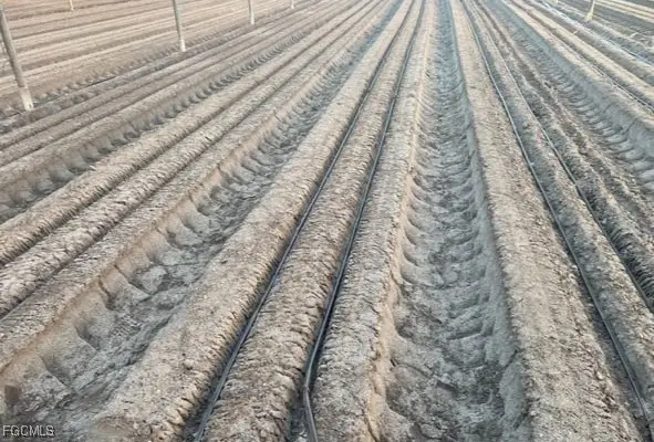 6150 Pringle Lane, Immokalee, FL 34142