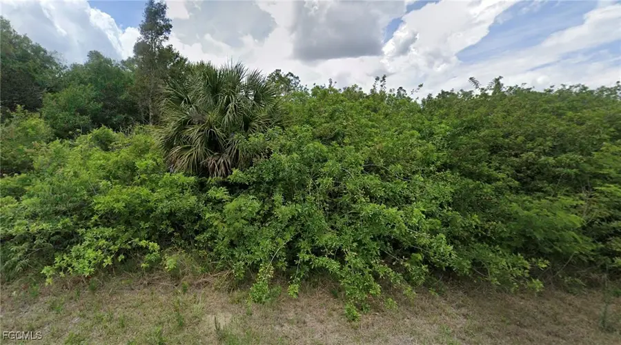 903 Michael Avenue, Lehigh Acres, FL 33936 - Image #3