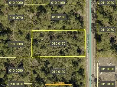 1209 Acacia Avenue, Lehigh Acres, FL 33972 - Image #2