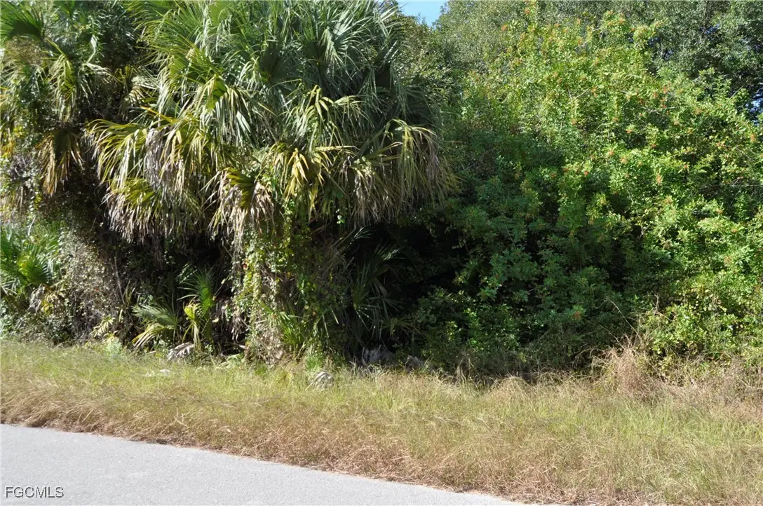 1013 Anderson Street, Lehigh Acres, FL 33974 - Image #1
