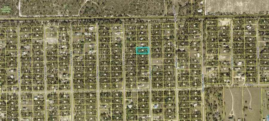 2313 Truman Avenue, Alva, FL 33920 - Image #2