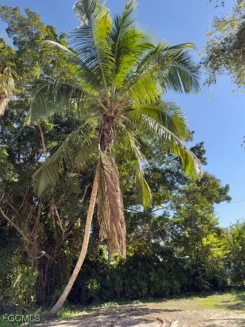 236 Lagoon Drive, Fort Myers, FL 33905