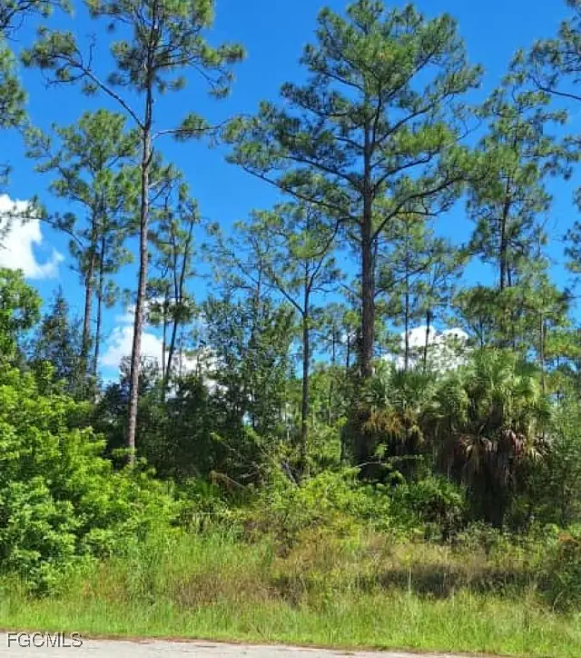 2108 Truman Avenue, Alva, FL 33920 - Image #3