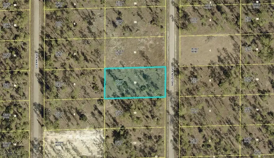 1315 Sheldon Avenue, Lehigh Acres, FL 33972 - Image #2