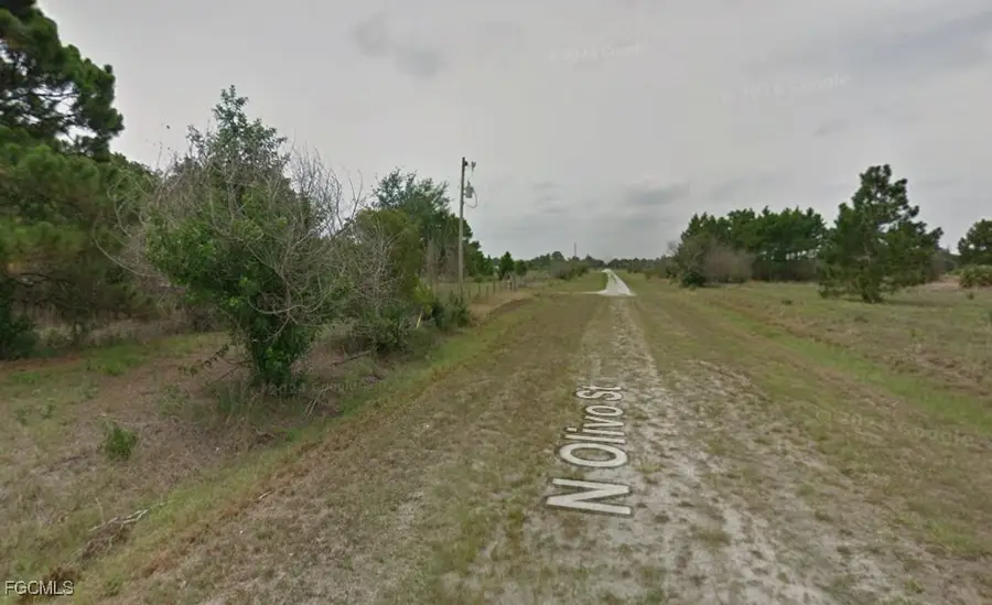 545 N Olivo Street, Montura, FL 33440 - Image #2