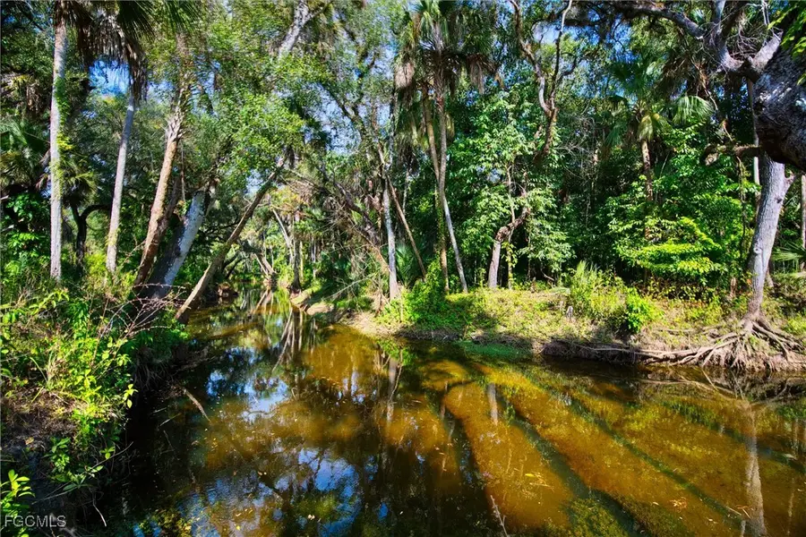 14221 River Road, Fort Myers, FL 33905 - Image #2