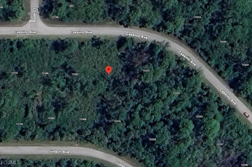 12215 Cassino Avenue, Port Charlotte, FL 33953 - Image #3