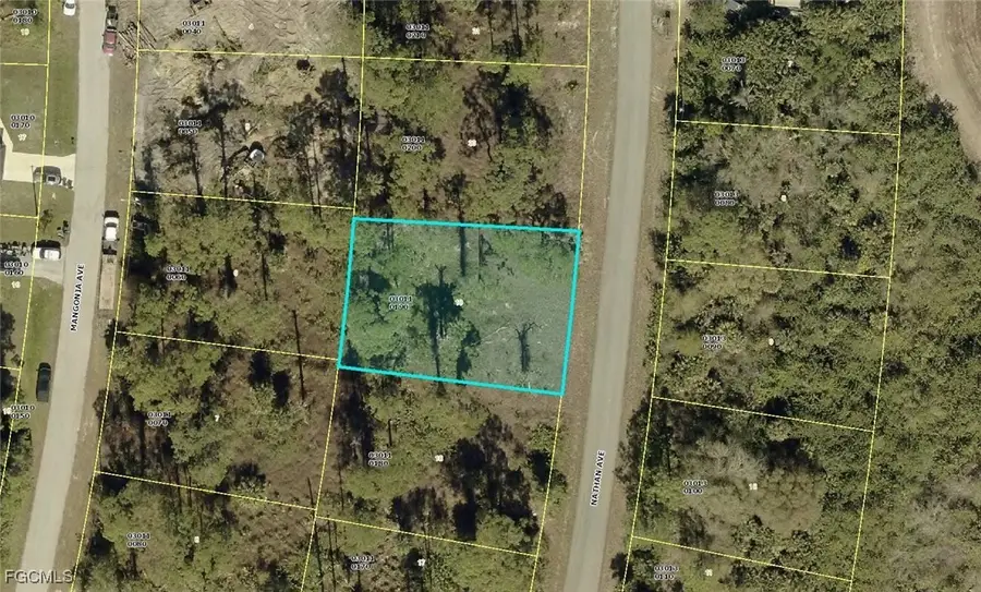 314 Nathan Avenue, Lehigh Acres, FL 33974 - Image #2