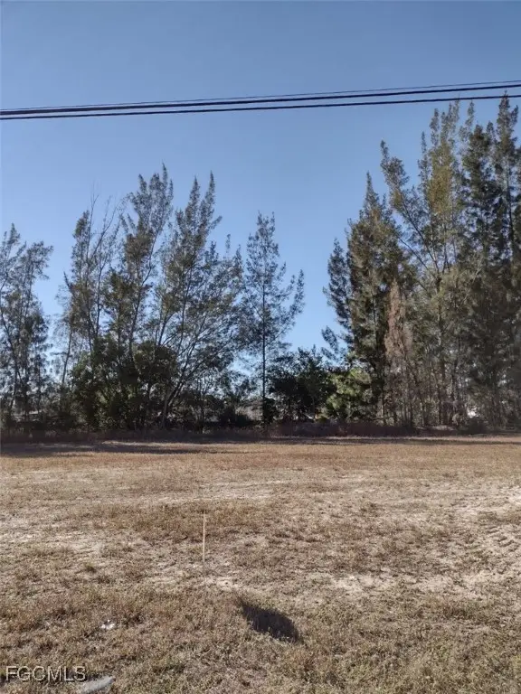 2106 SW 17th Avenue, Cape Coral, FL 33991 - #3