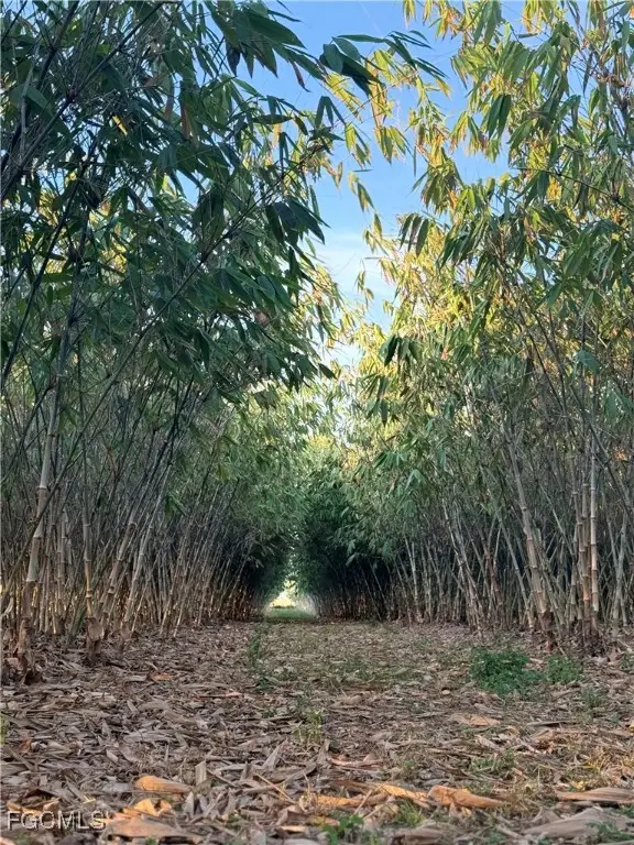 6724 5th Road, Labelle, FL 33935 - Image #1