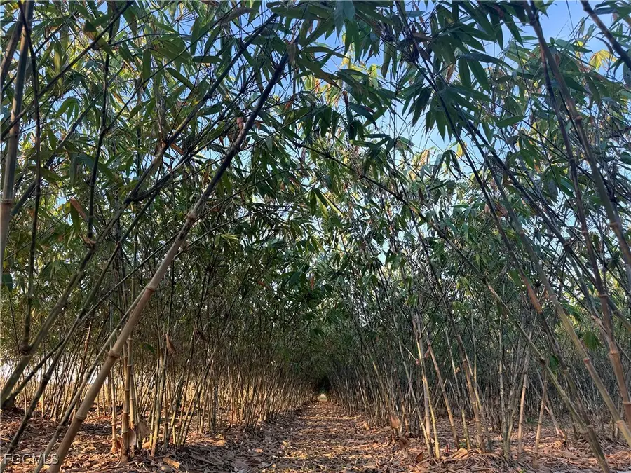 6724 5th Road, Labelle, FL 33935 - Image #2