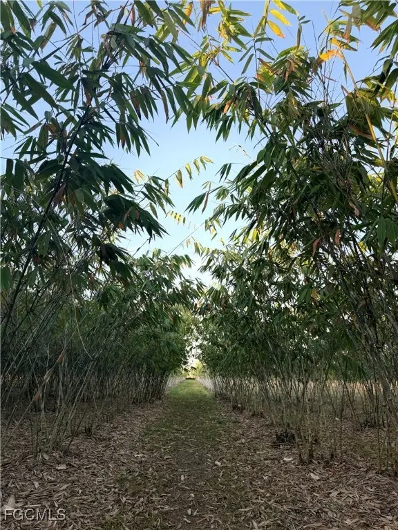 6724 5th Road, Labelle, FL 33935 - Image #3