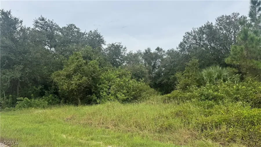 1808 Irving Avenue, Lehigh Acres, FL 33972 - #3