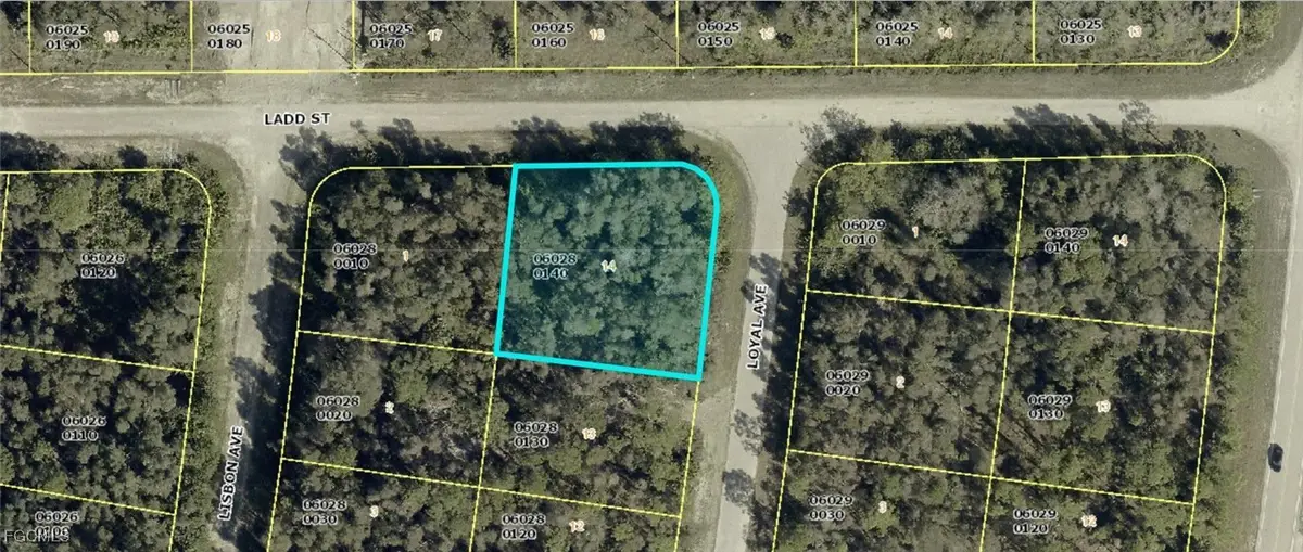 1008 Loyal Avenue S, Lehigh Acres, FL 33974 - Image #1