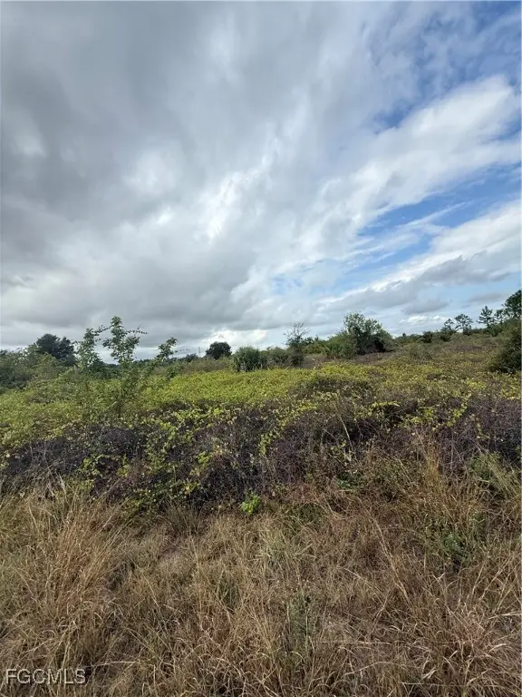 1503 Irving Avenue, Lehigh Acres, FL 33972 - Image #3