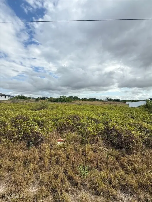 1418 Irving Avenue, Lehigh Acres, FL 33972 - Image #2