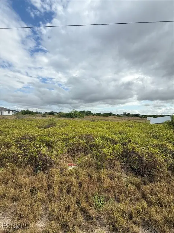 1418 Irving Avenue, Lehigh Acres, FL 33972 - Image #3