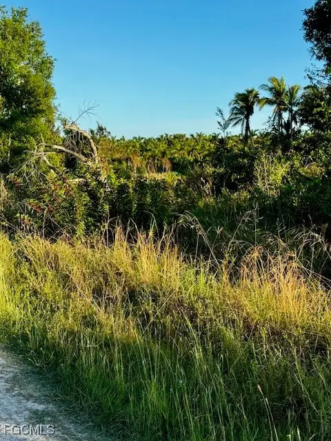 7465, 7448, 7421 Max Drive, Bokeelia, FL 33922 - Image #3