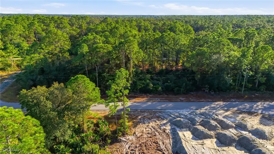 2428 Mabry Street, Alva, FL 33920 - Image #3