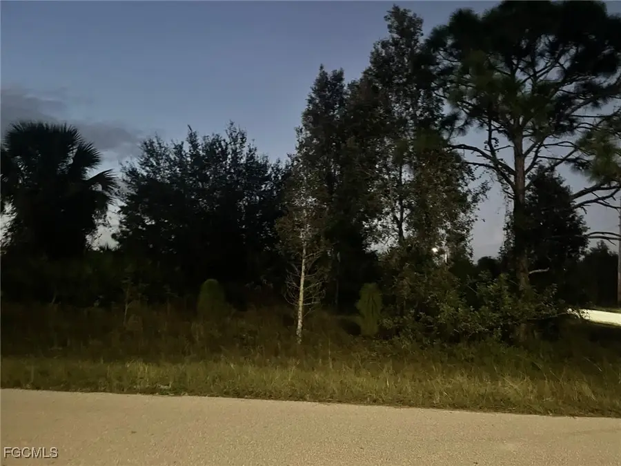 755 Amelia (corner Lot) Street E, Lehigh Acres, FL 33974 - Image #3