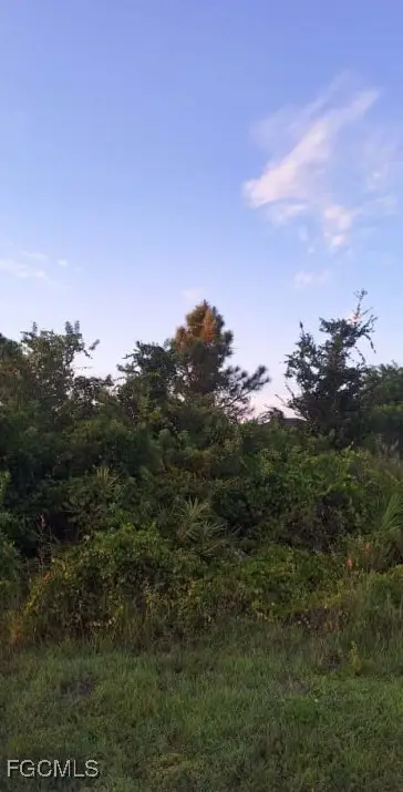 2606 7th Street Sw, Lehigh Acres, FL 33976 - Image #2