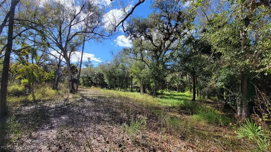 1 Wright Street, Labelle, FL 33935 - Image #3