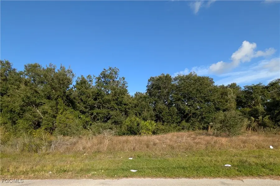 117 Parish Drive, Lehigh Acres, FL 33974 - #3