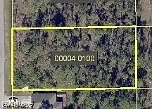 Address Withheld By Seller, Lehigh Acres, FL 33972