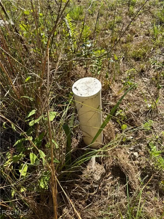 691 Bald Cypress Avenue, Clewiston, FL 33440 - Image #2