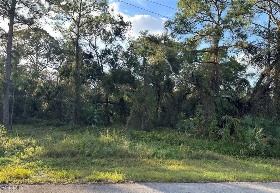 1711 Greenwood Avenue, Lehigh Acres, FL 33972 - #2