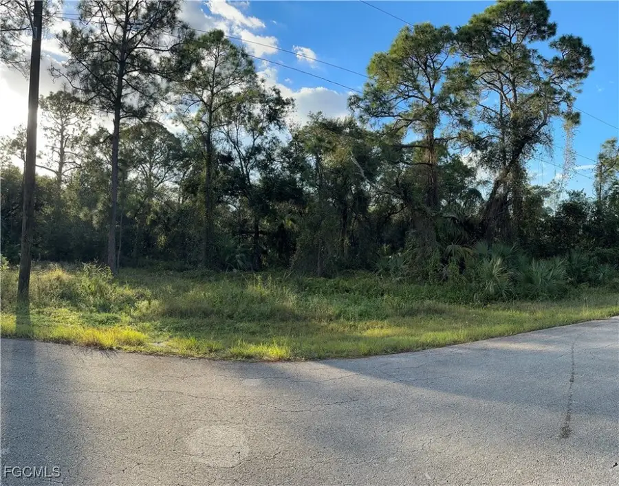 1713 Greenwood Avenue, Lehigh Acres, FL 33972 - #3