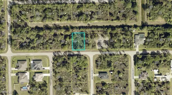1219 Randletree Street E, Lehigh Acres, FL 33974