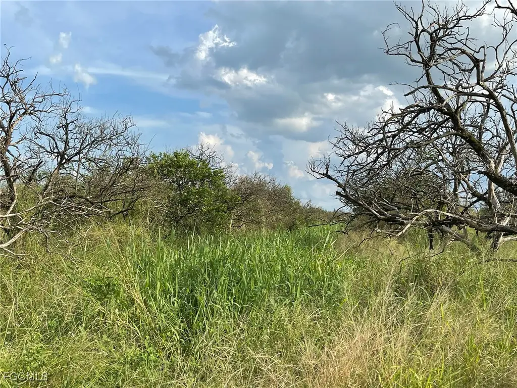 6876 5th Road, Labelle, FL 33935 - Image #1