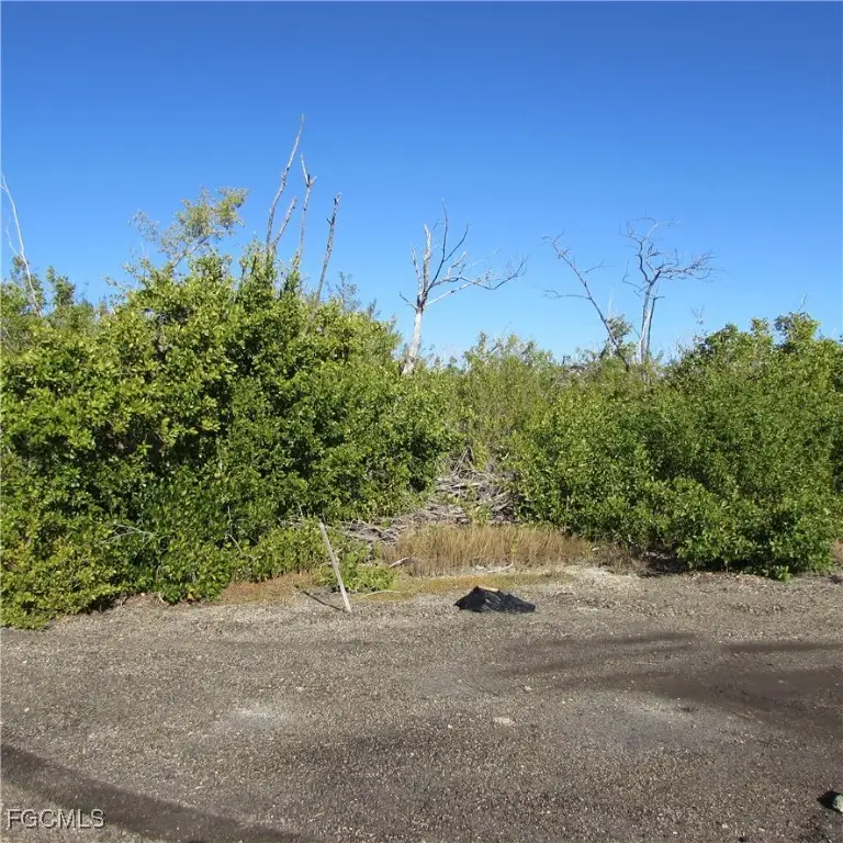 13686 Ficus Tree Lane, Bokeelia, FL 33922 - Image #2