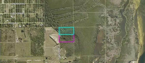 Ficus Tree, Bokeelia, FL 33922