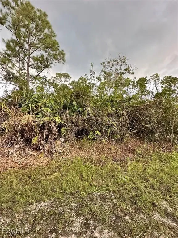1504 Cleveland Avenue, Lehigh Acres, FL 33972 - #2